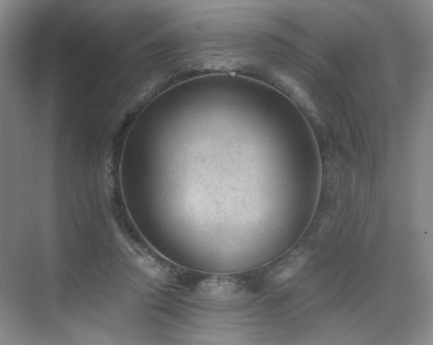 X0000076030354200609221059