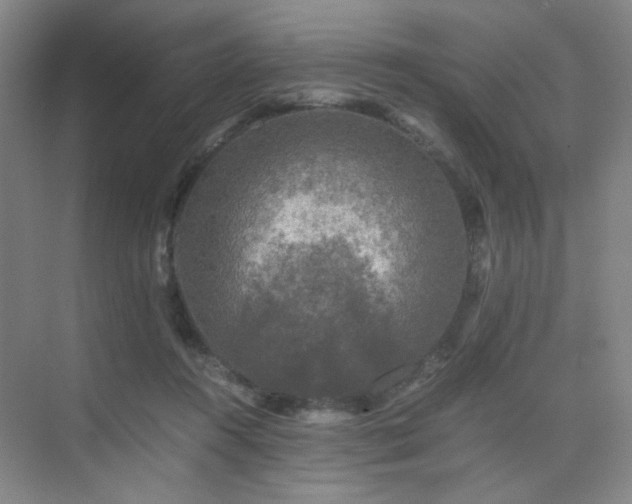 X0000076030360200609221100