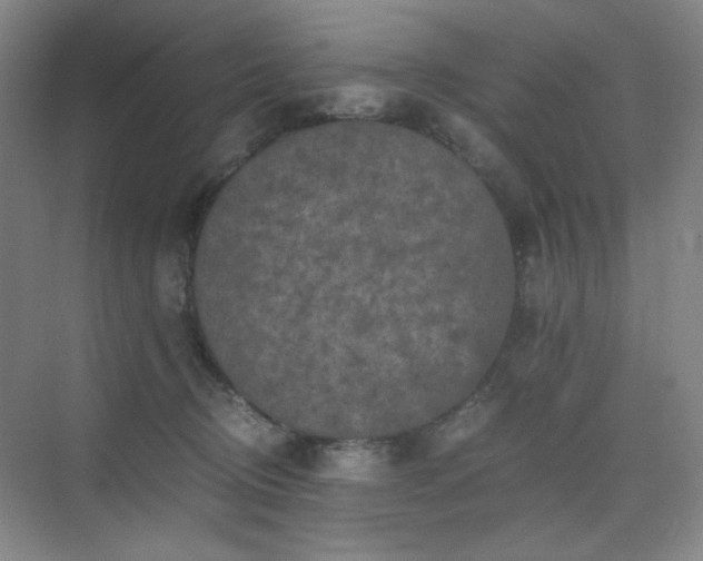 X0000076030370200609221100