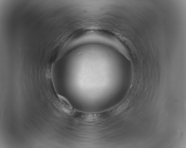 X0000076030384200609221100