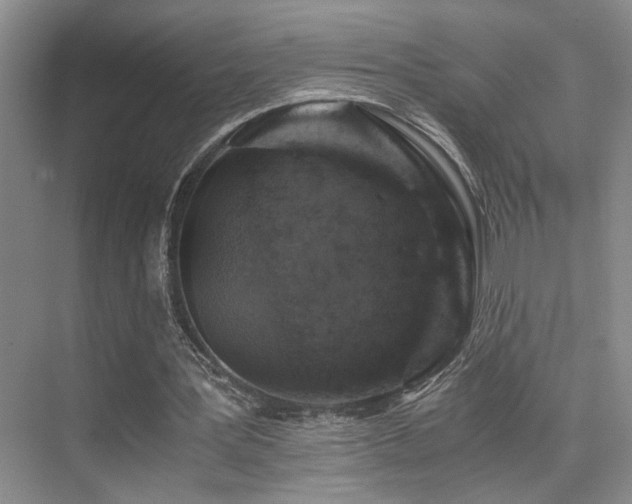 X0000076030387200609221059