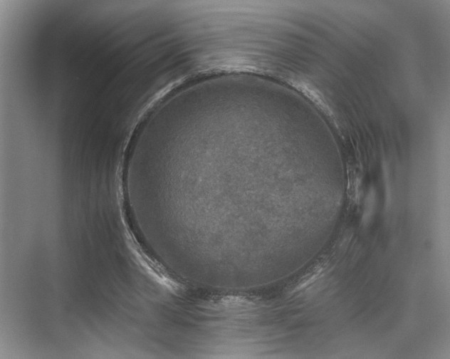X0000076030390200609221059