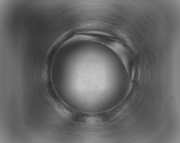 X0000076030400200609221059