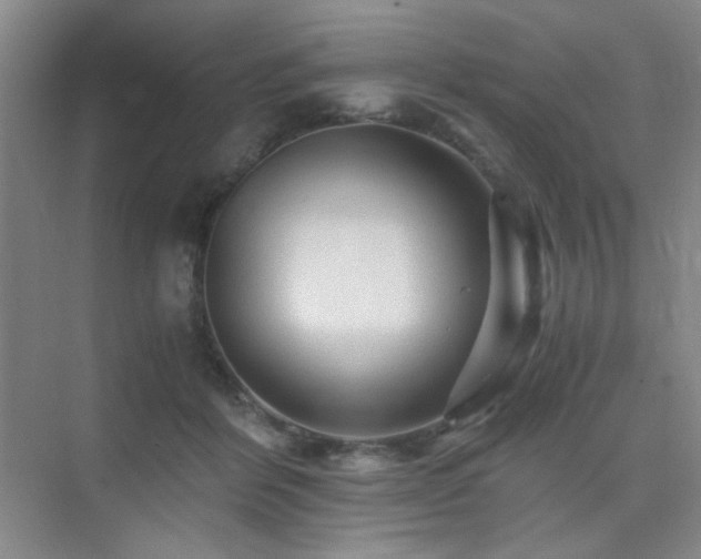 X0000076030412200609221059