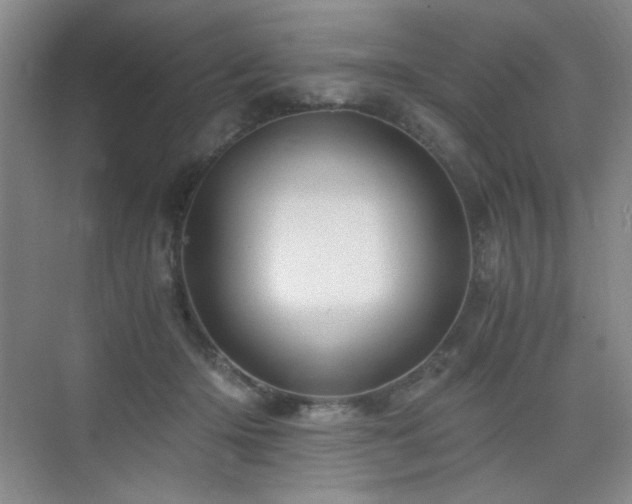 X0000076030414200609221059