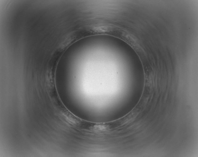 X0000076030418200609221059