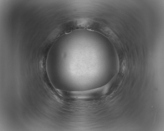 X0000076030424200609221059