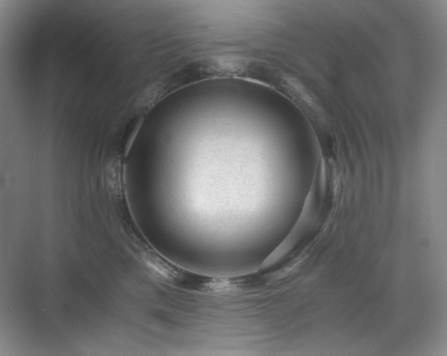 X0000076030425200609221058