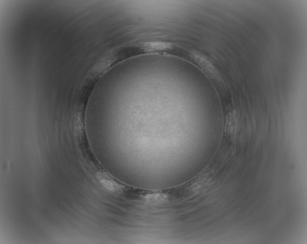 X0000076030426200609221058