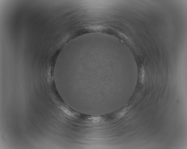 X0000076030428200609221058