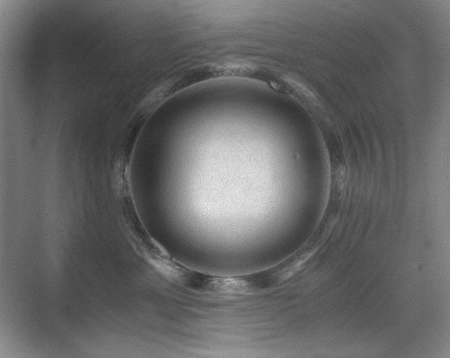 X0000076030429200609221058