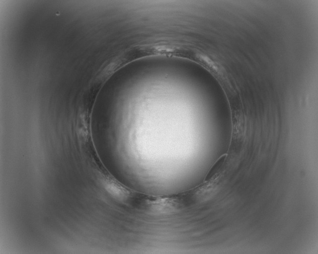 X0000076030430200609221058