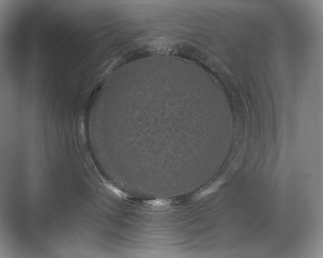 X0000076030432200609221058