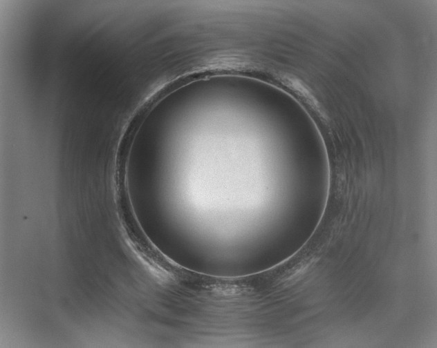 X0000076030439200609221058
