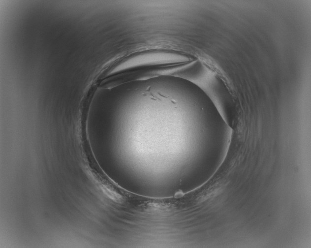 X0000076030442200609221058