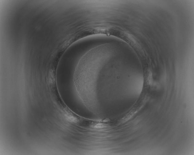 X0000076030467200609221058