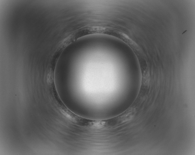 X0000076030474200609221058