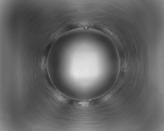 X0000076030478200609221058
