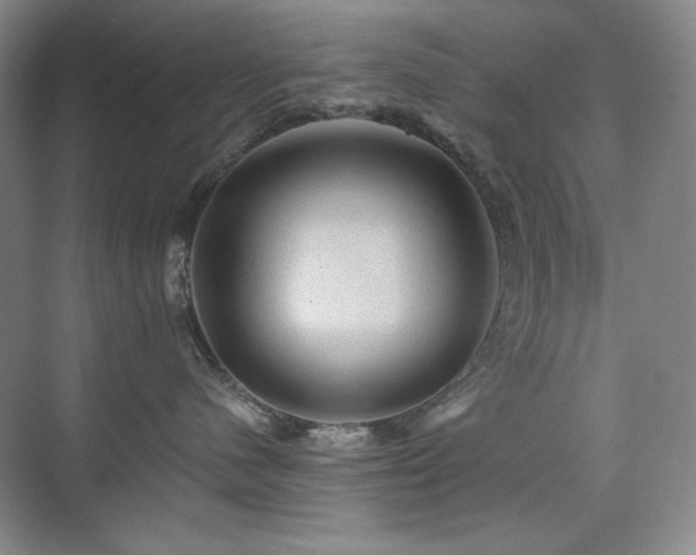 X0000076030480200609221058