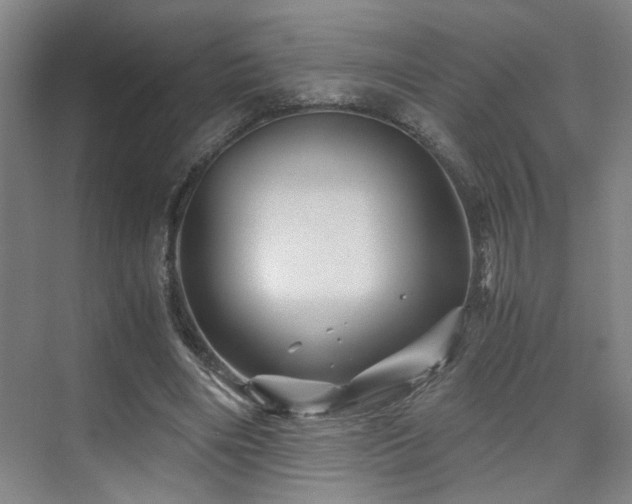 X0000076030490200609221057