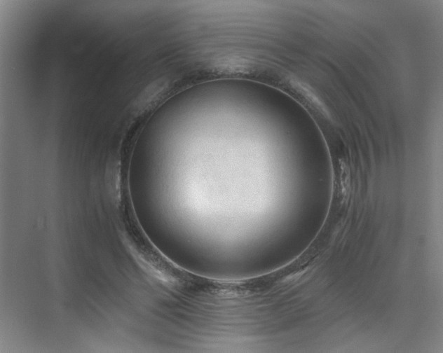 X0000076030494200609221057