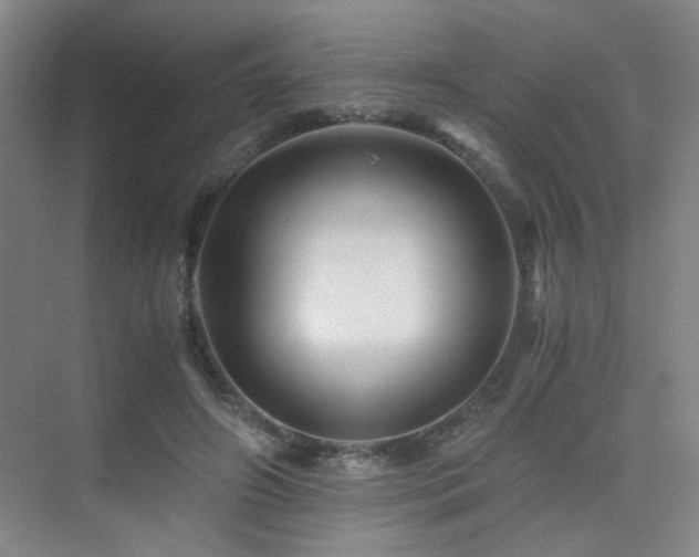 X0000076030498200609221057