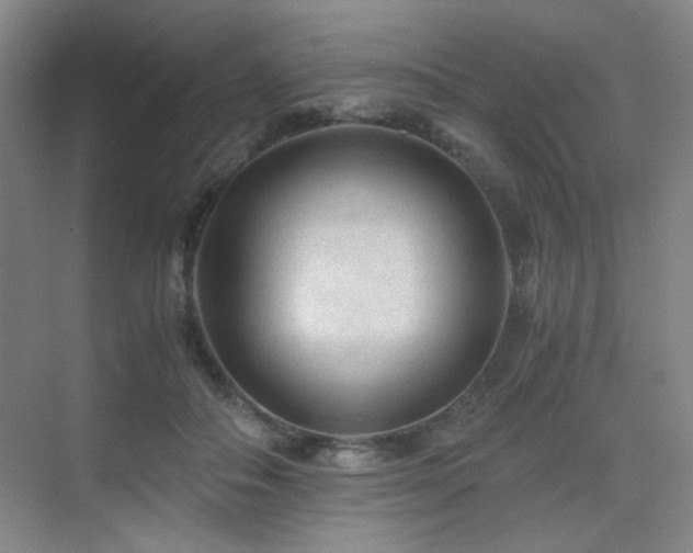 X0000076030506200609221057