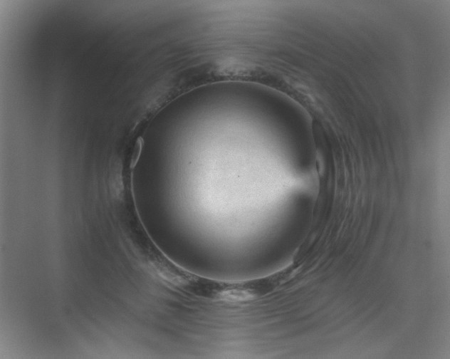 X0000076030508200609221057