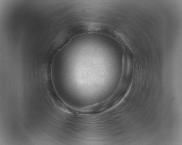 X0000076030512200609221057