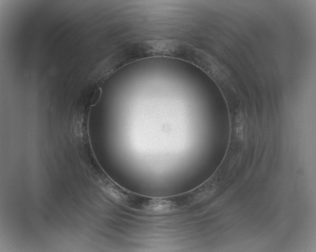 X0000076030514200609221057