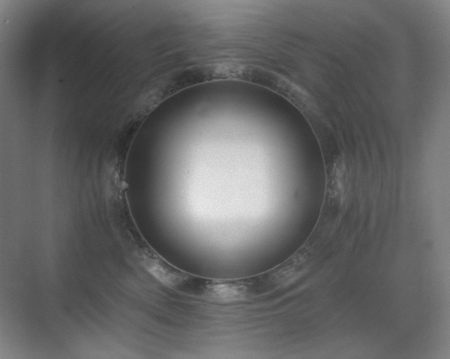 X0000076030522200609221057