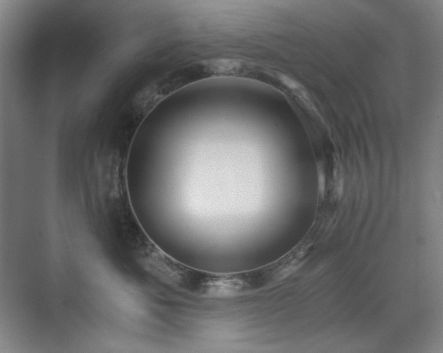 X0000076030525200609221057