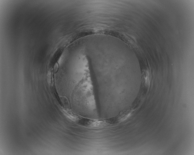 X0000076030527200609221057
