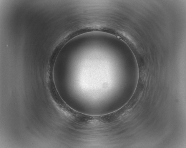 X0000076030544200609221056
