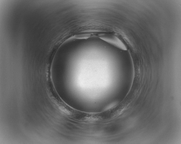 X0000076030545200609221056