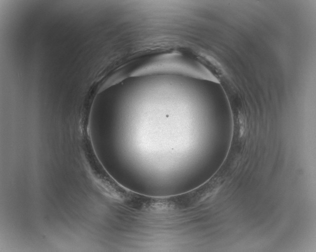 X0000076030546200609221056