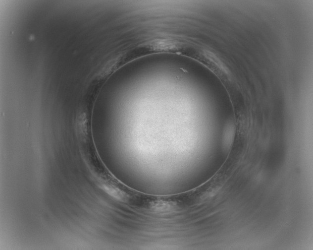X0000076030549200609221056