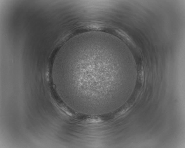 X0000076030552200609221056