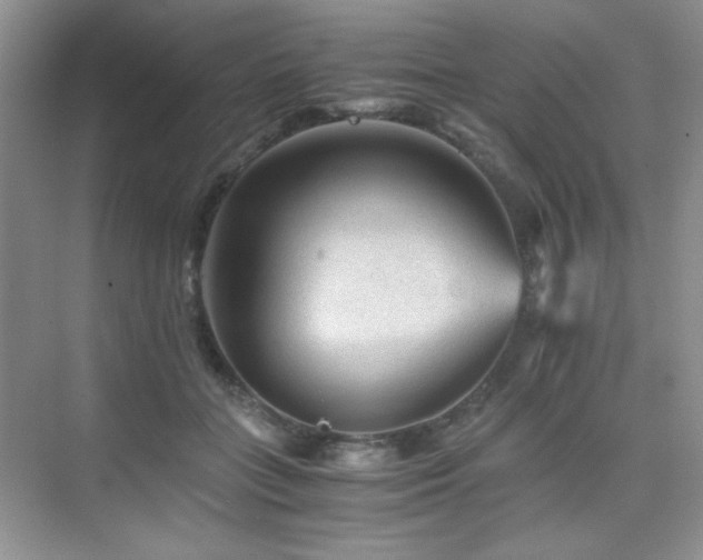 X0000076030555200609221056