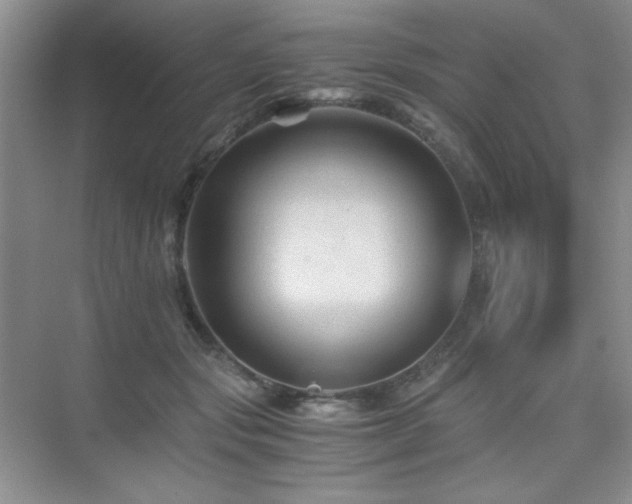 X0000076030557200609221056
