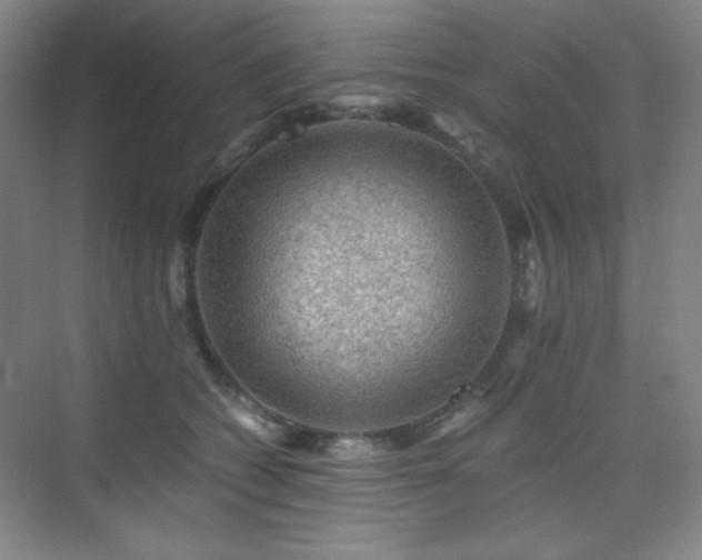 X0000076030562200609221056