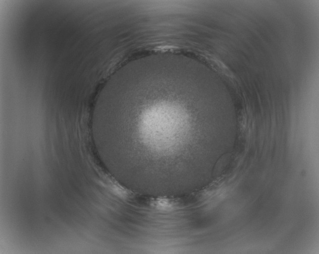 X0000076030565200609221057