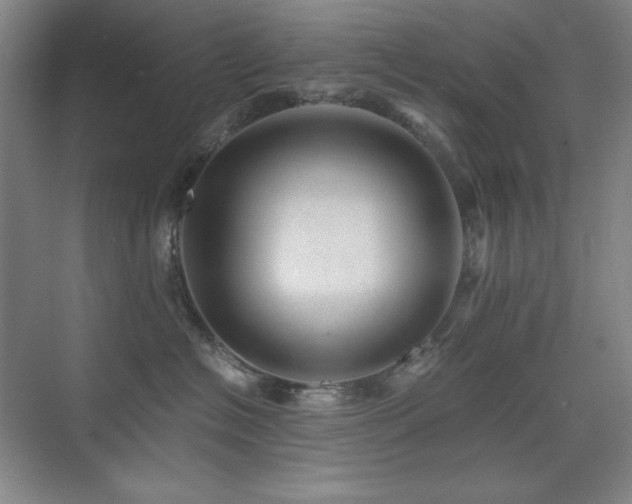 X0000076030574200609221057