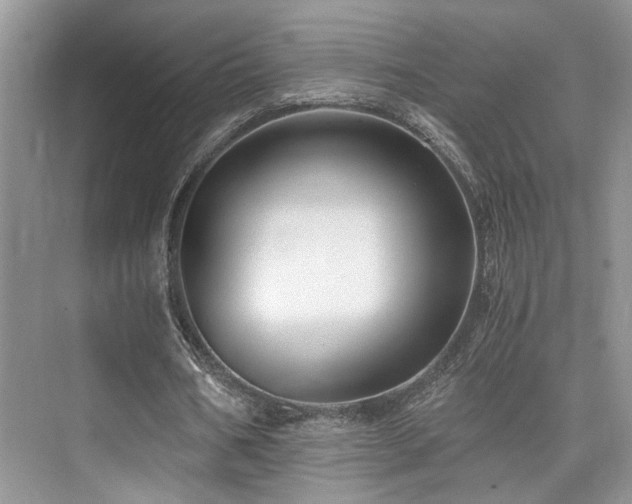 X0000076030578200609221056