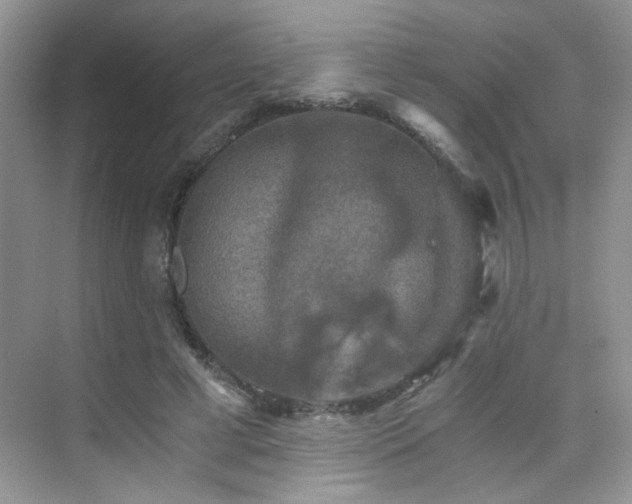X0000076030593200609221056
