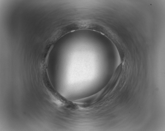 X0000076030601200609221055