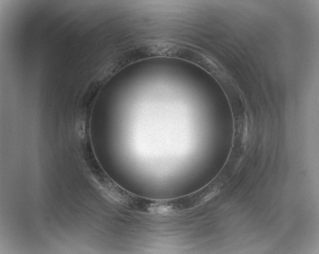 X0000076030602200609221055