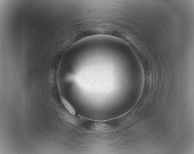 X0000076030605200609221055