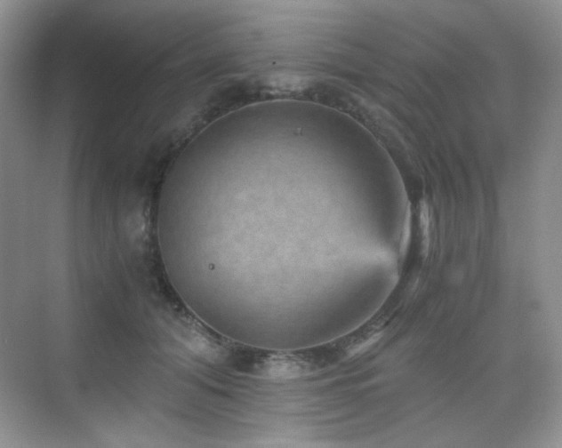X0000076030608200609221055