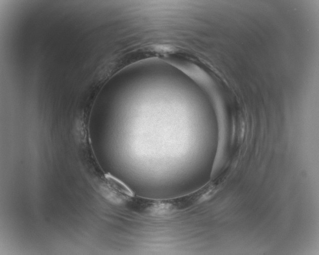 X0000076030609200609221055